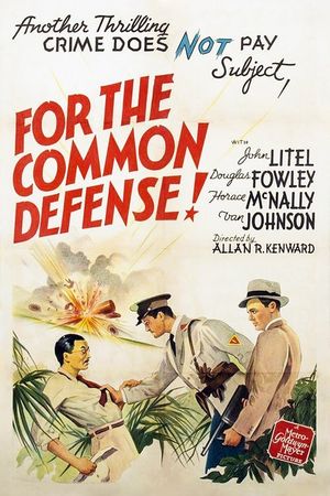 For the Common Defense!'s poster