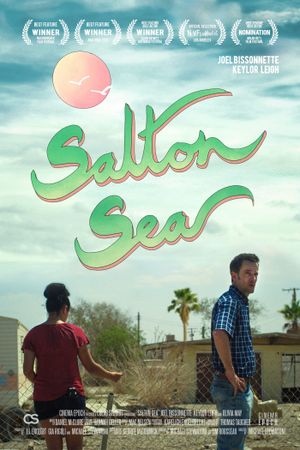 Salton Sea's poster