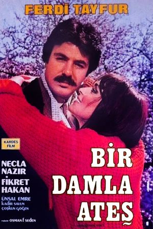 Bir Damla Ates's poster