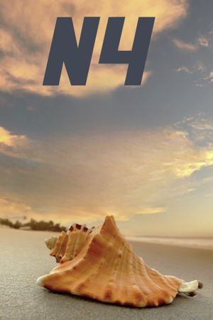 N4's poster