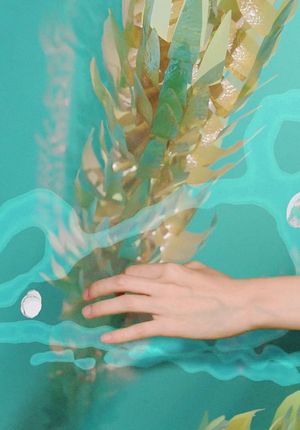 Doomsday Video's poster