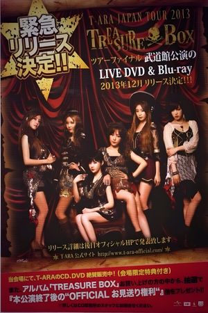 T-ARA Japan Tour 2013 - Treasure Box- 2nd TOUR FINAL In Budokan's poster image