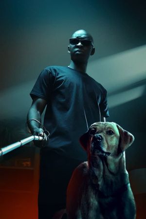 In His Shadow's poster