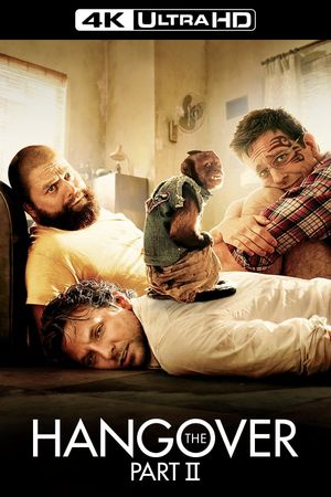 The Hangover Part II's poster