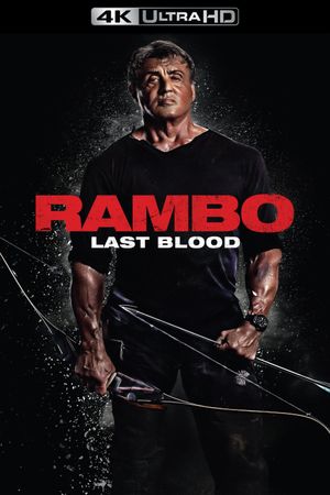 Rambo: Last Blood's poster