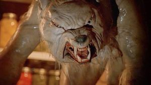 Ginger Snaps's poster