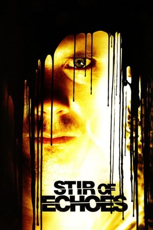 Stir of Echoes's poster