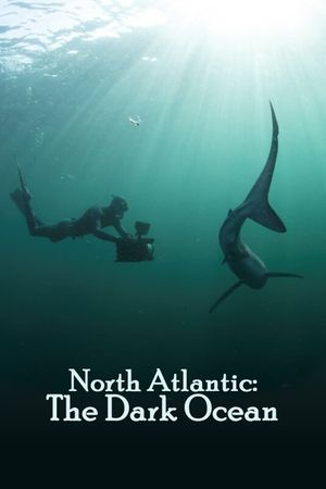 North Atlantic: The Dark Ocean's poster image