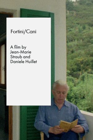 Fortini/Cani's poster