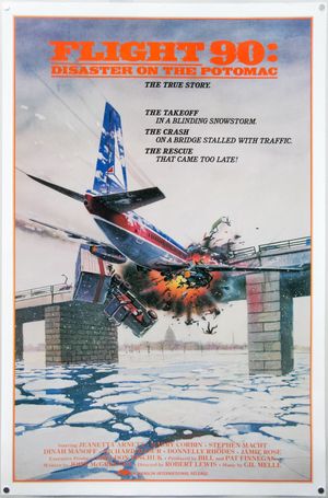 Flight 90: Disaster on the Potomac's poster image