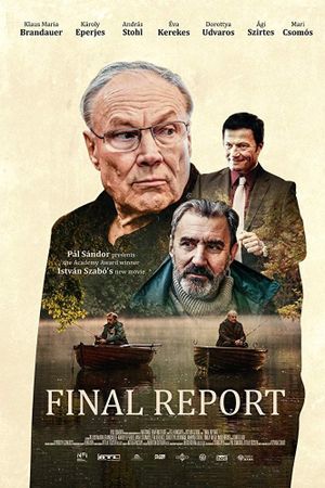Final Report's poster image