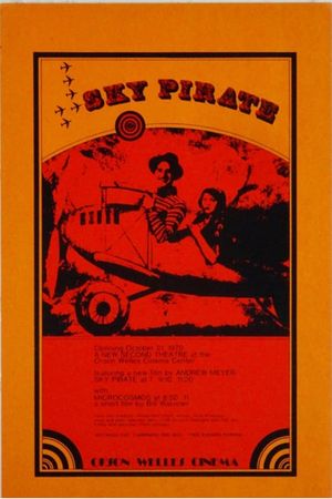 The Sky Pirate's poster image