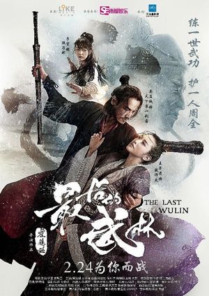 最后的武林's poster