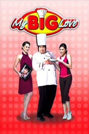 My Big Love's poster