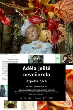 Adela Has Not Had Supper Yet's poster