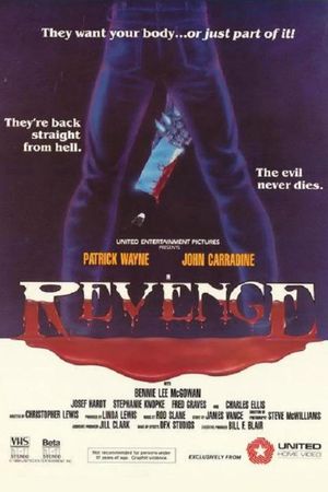 Revenge's poster