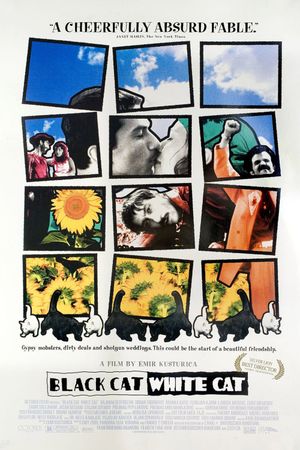 Black Cat, White Cat's poster