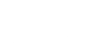 Burning Stars's poster