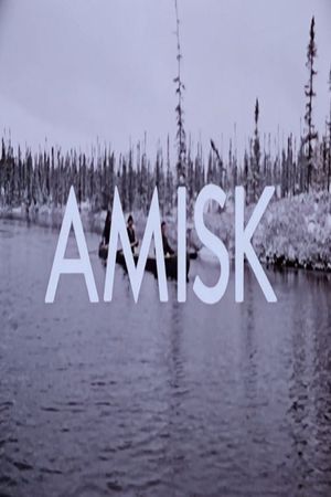 Amisk's poster