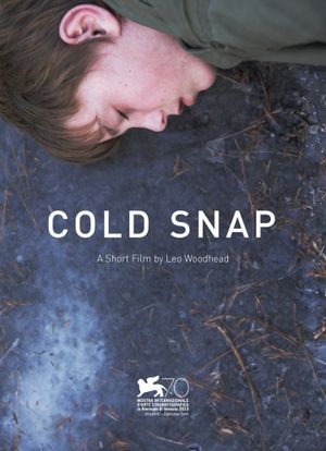 Cold Snap's poster