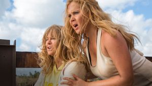Snatched's poster