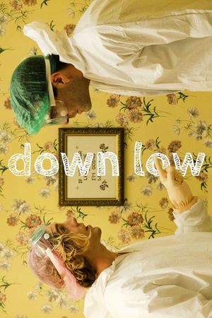 Down Low's poster