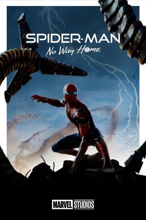 Spider-Man: No Way Home's poster