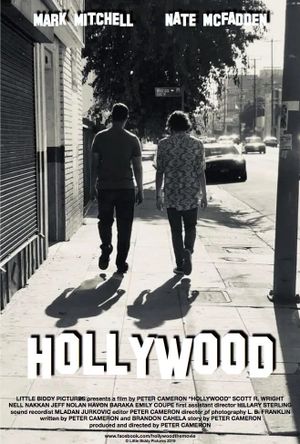 Hollywood's poster