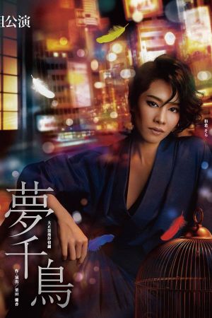 Dream Plover's poster