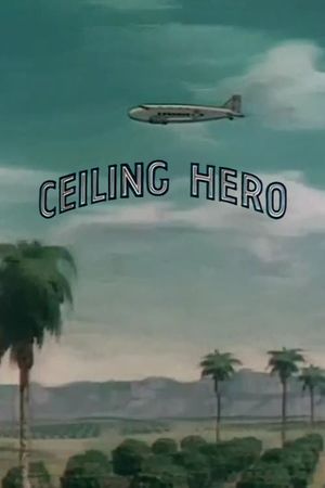 Ceiling Hero's poster