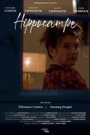 Hippocampe's poster