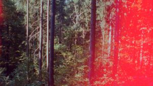 Newsreel 670 – Red Forests's poster