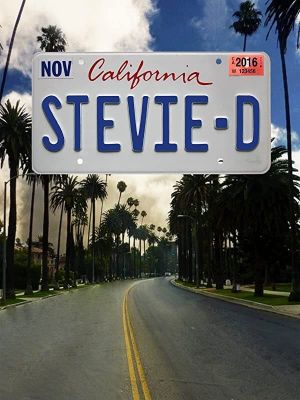 Stevie D's poster