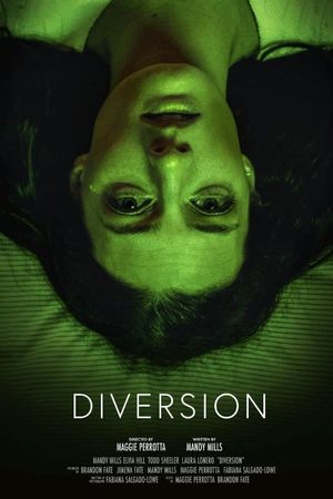 Diversion's poster
