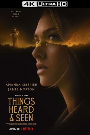 Things Heard & Seen's poster