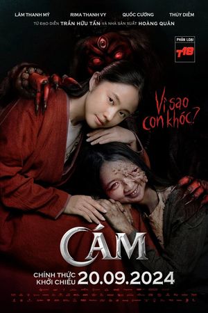 Cám's poster