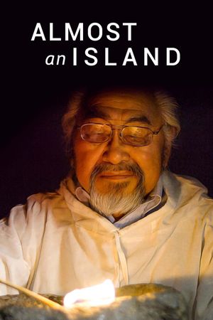 Almost an Island's poster