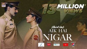 Aik Hai Nigar's poster