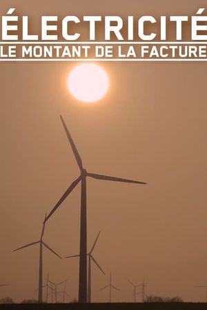 Electricité, le montant de la facture's poster