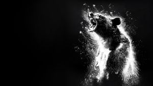 Cocaine Bear's poster