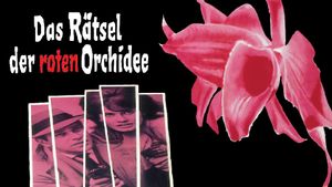Secret of the Red Orchid's poster