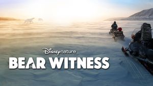 Bear Witness's poster