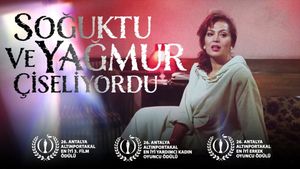 Soguktu ve Yagmur Çiseliyordu's poster