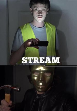 Stream's poster