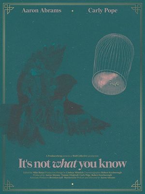 It's Not What You Know's poster image