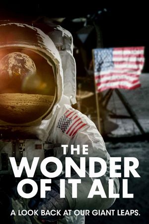 The Wonder of it All's poster