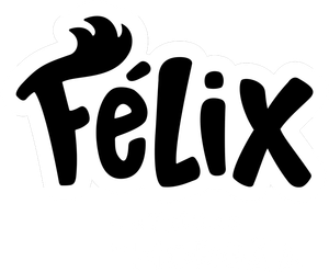 Felix and the Hidden Treasure's poster