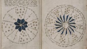 The Voynich Code: The World's Most Mysterious Manuscript's poster