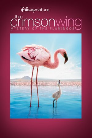 The Crimson Wing: Mystery of the Flamingos's poster