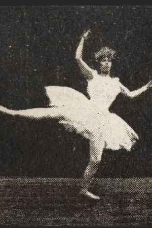 Miss de Vère - English Jig's poster